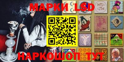 сатива Краснознаменск