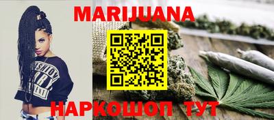сатива Краснознаменск