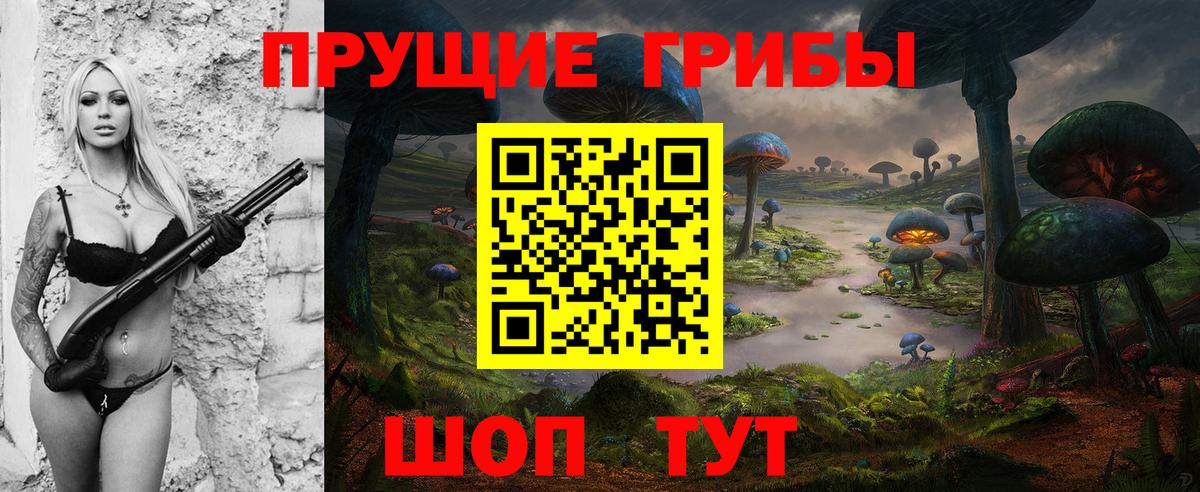 Комсомольск-на-Амуре  Псилоцибиновые грибы Psilocybe  Вход с VPN 
